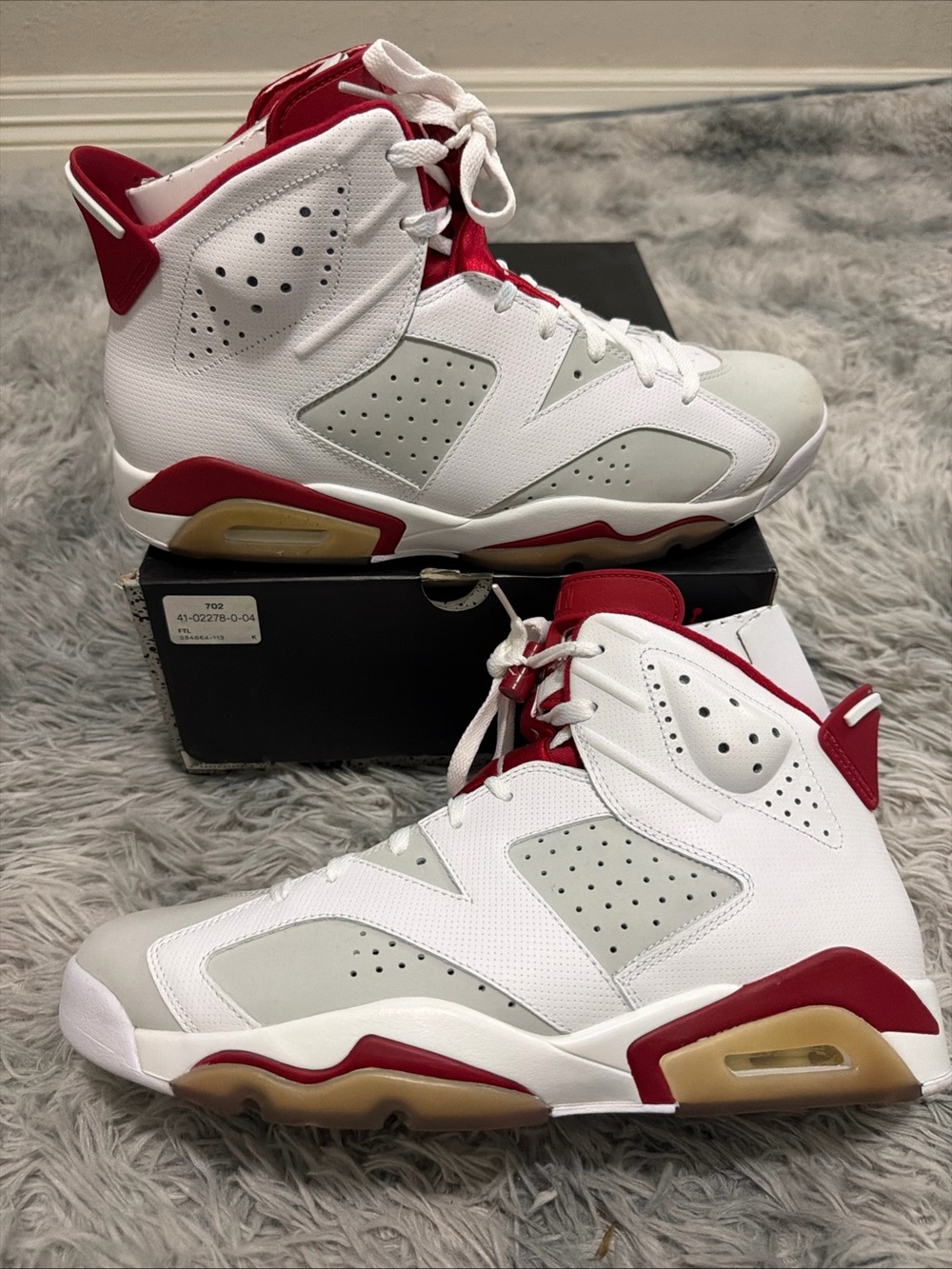 Air Jordan 6 Retro Alternate 2016 Men’s Sz 12